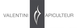 VALENTINI-LOGO